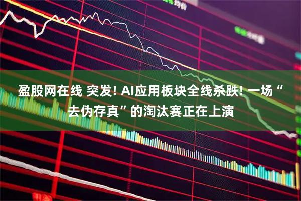 盈股网在线 突发! AI应用板块全线杀跌! 一场“去伪存真”的淘汰赛正在上演